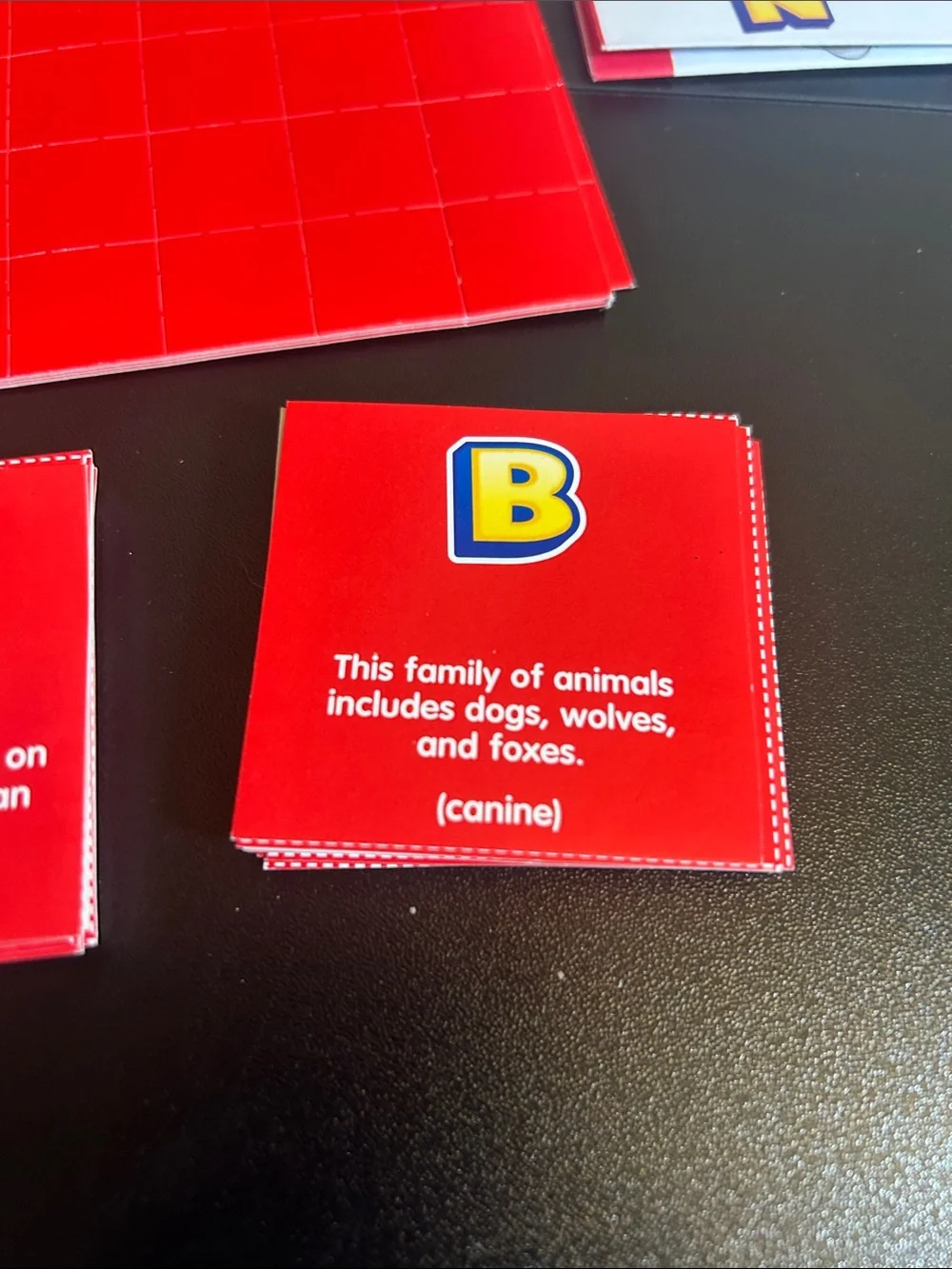 Lakeshore Learning Animals Bingo Game